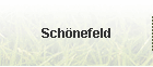 Schnefeld
